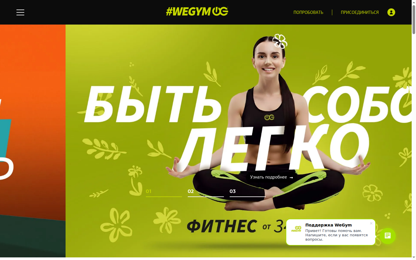 Интерфейс wegym.ru, полный кадр